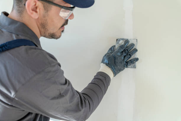 Best Water-Damaged Drywall Repair  in Kelseyville, CA